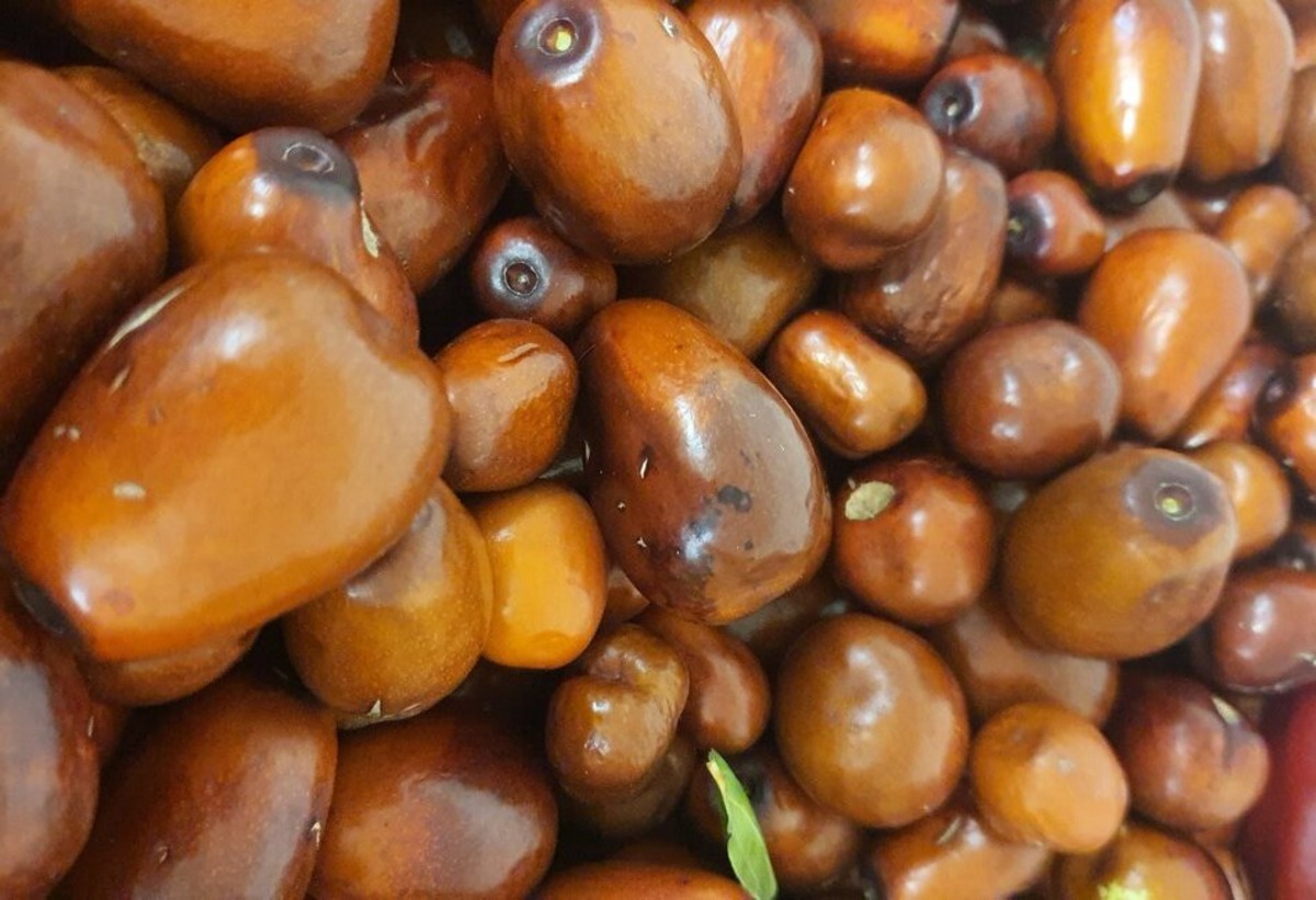 Žižole: The sweet secret of Mediterranean well-being