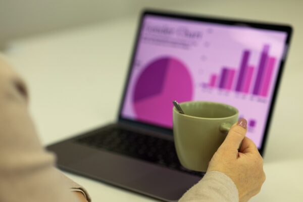 Leomorg: Revolutionizing data analysis for individuals