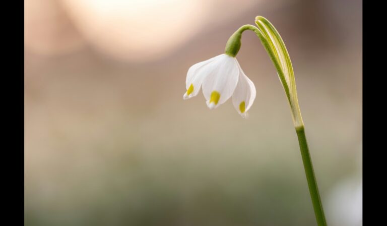 Ecotourism destinations all over the world