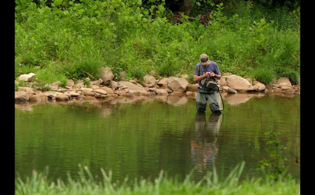 The Best Outdoor Activities to Experience in Tarnplanen