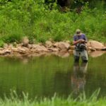 The Best Outdoor Activities to Experience in Tarnplanen