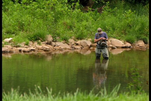 The Best Outdoor Activities to Experience in Tarnplanen