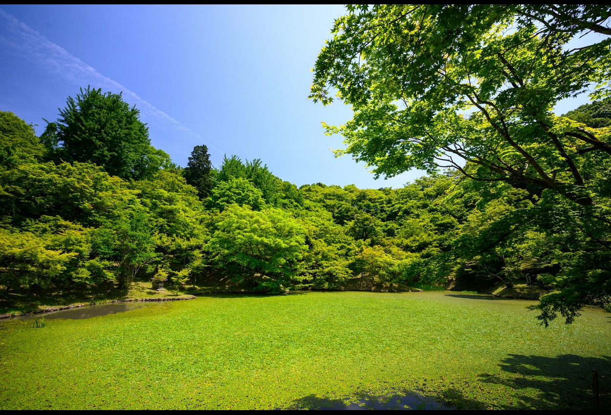 Why Pabington is the ideal getaway for nature lovers